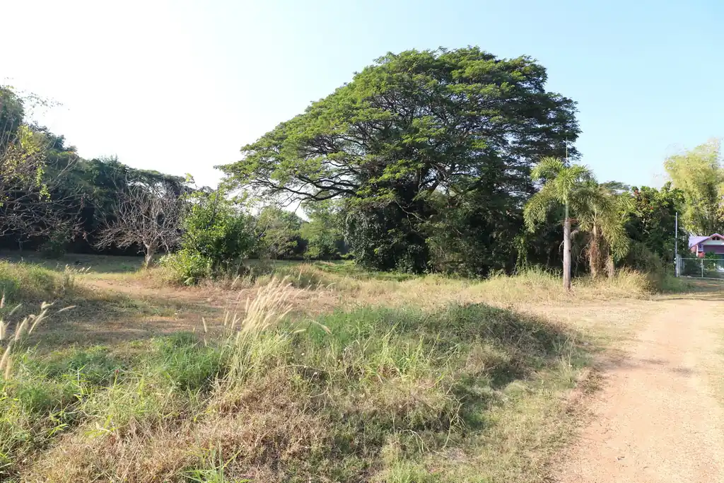 1 rai of land for sale in Kut Sa, Udon Thani, photo 5