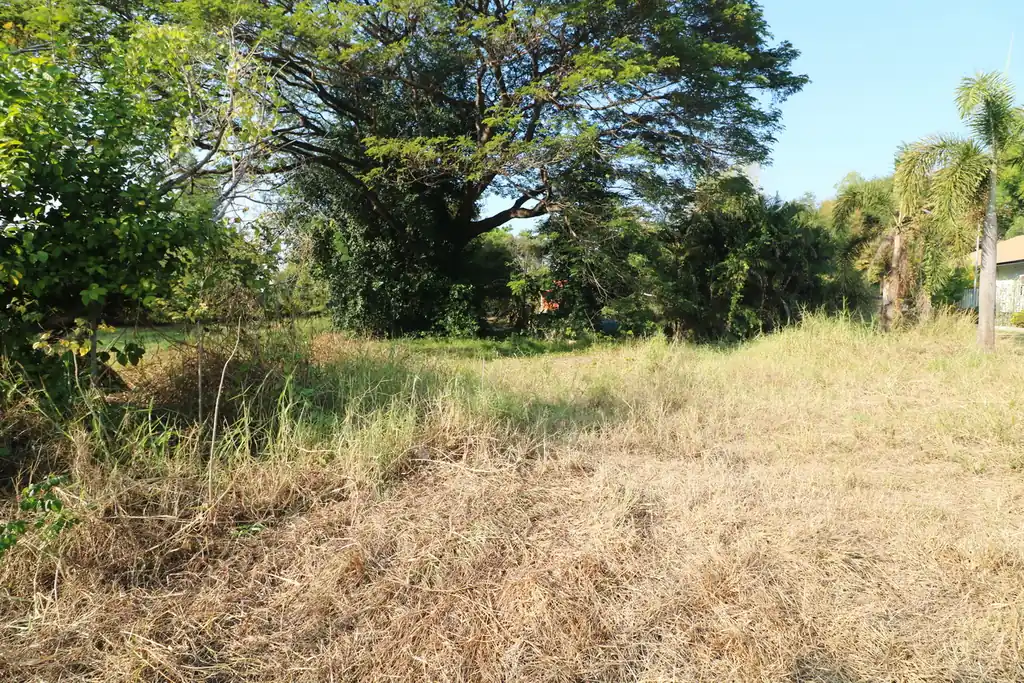1 rai of land for sale in Kut Sa, Udon Thani, photo 6