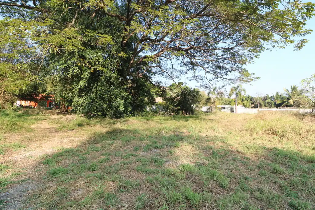 1 rai of land for sale in Kut Sa, Udon Thani, photo 8