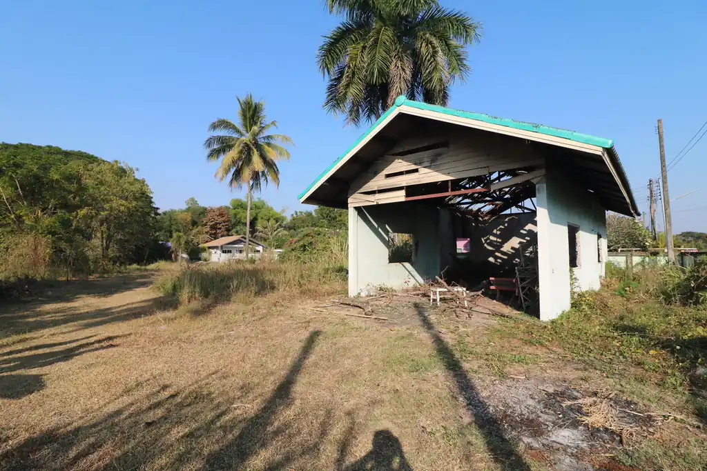 1 rai of land for sale in Kut Sa, Udon Thani, photo 9