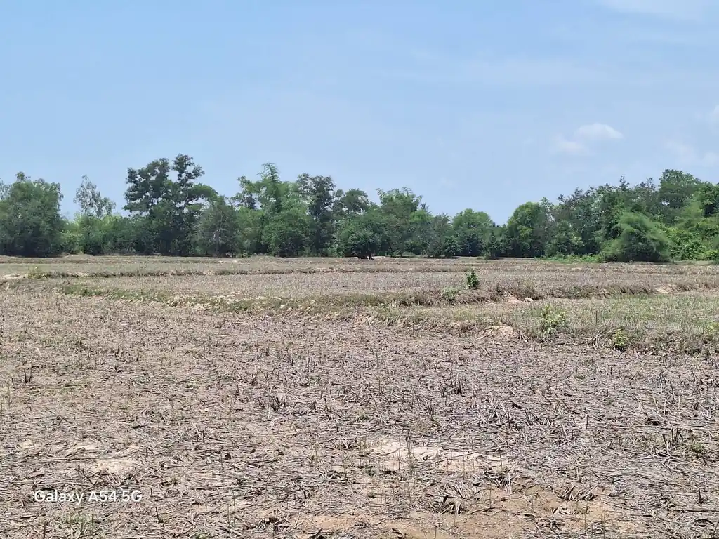 21+ rai of land for sale within 3 km of Phen, Udon Thani, photo 5