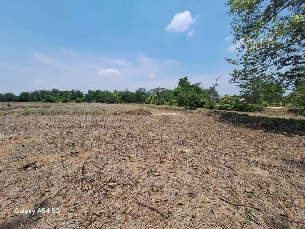 21+ rai of land for sale within 3 km of Phen, Udon Thani, photo 6