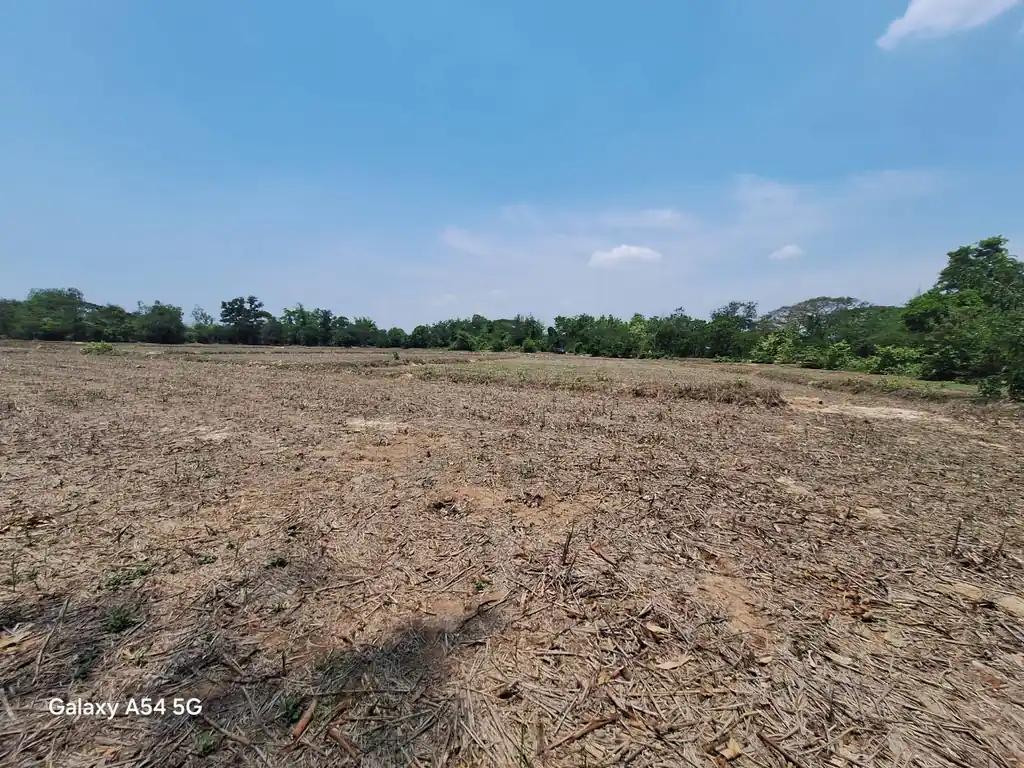 21+ rai of land for sale within 3 km of Phen, Udon Thani, photo 9