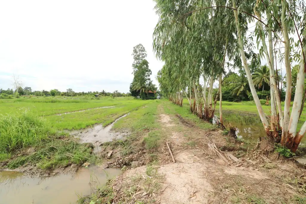5+ rai of land for sale in Ban Tat, Udon Thani, photo 14