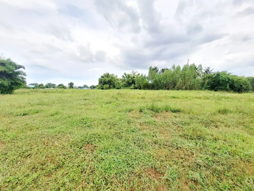 12 rai, 3 ngan, 16 talang wah highway frontage land for sale on road 2062, Khon Kaen, photo 10