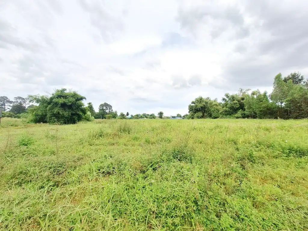 12 rai, 3 ngan, 16 talang wah highway frontage land for sale on road 2062, Khon Kaen, photo 11
