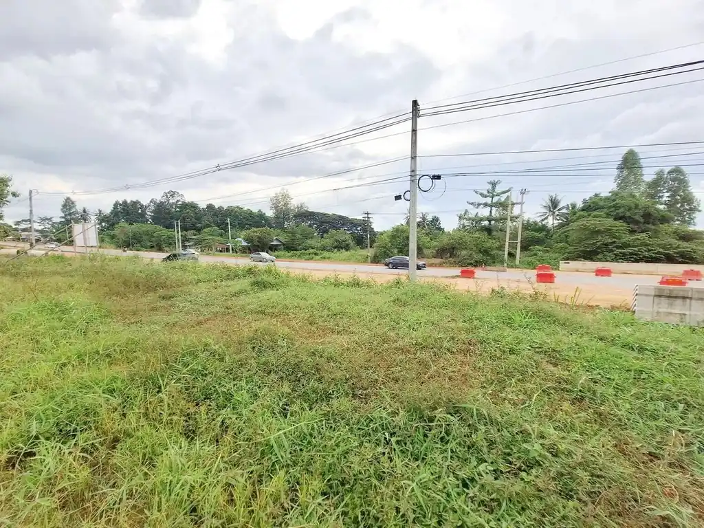 12 rai, 3 ngan, 16 talang wah highway frontage land for sale on road 2062, Khon Kaen, photo 3