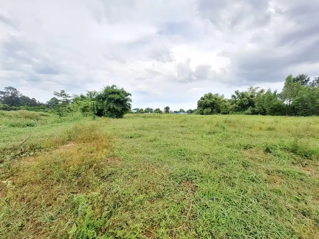 12 rai, 3 ngan, 16 talang wah highway frontage land for sale on road 2062, Khon Kaen, photo 7