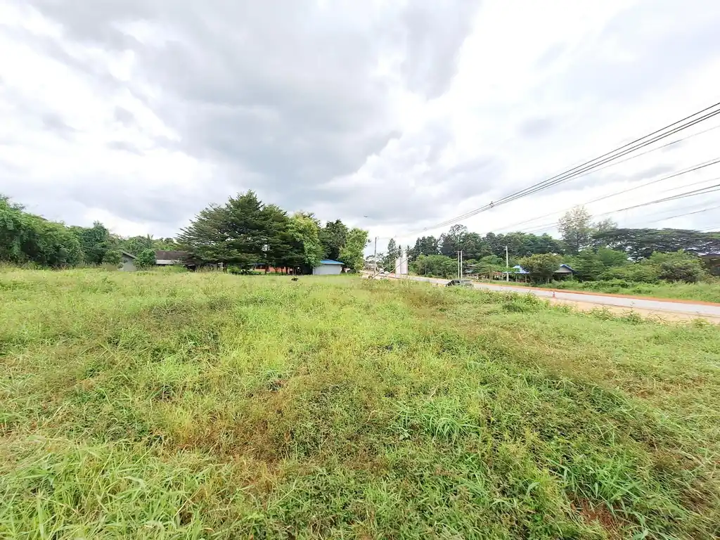 12 rai, 3 ngan, 16 talang wah highway frontage land for sale on road 2062, Khon Kaen, photo 8