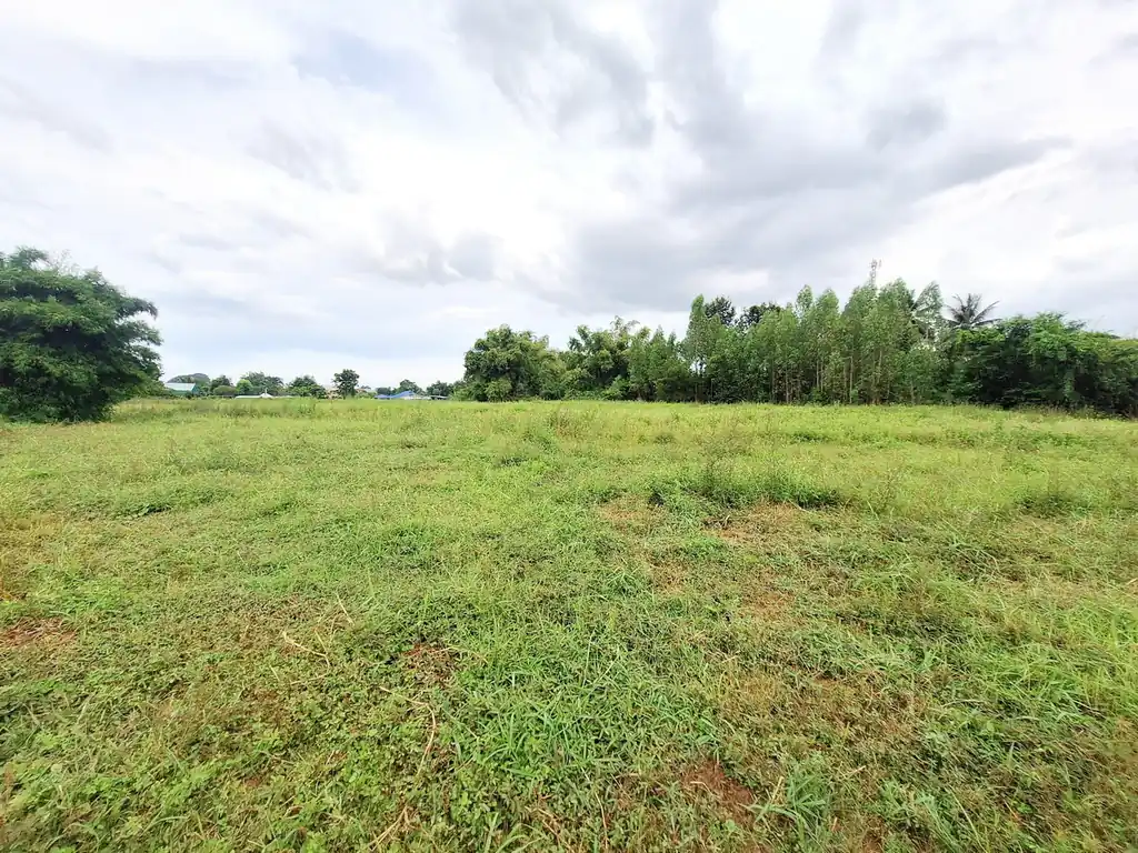 12 rai, 3 ngan, 16 talang wah highway frontage land for sale on road 2062, Khon Kaen, photo 9