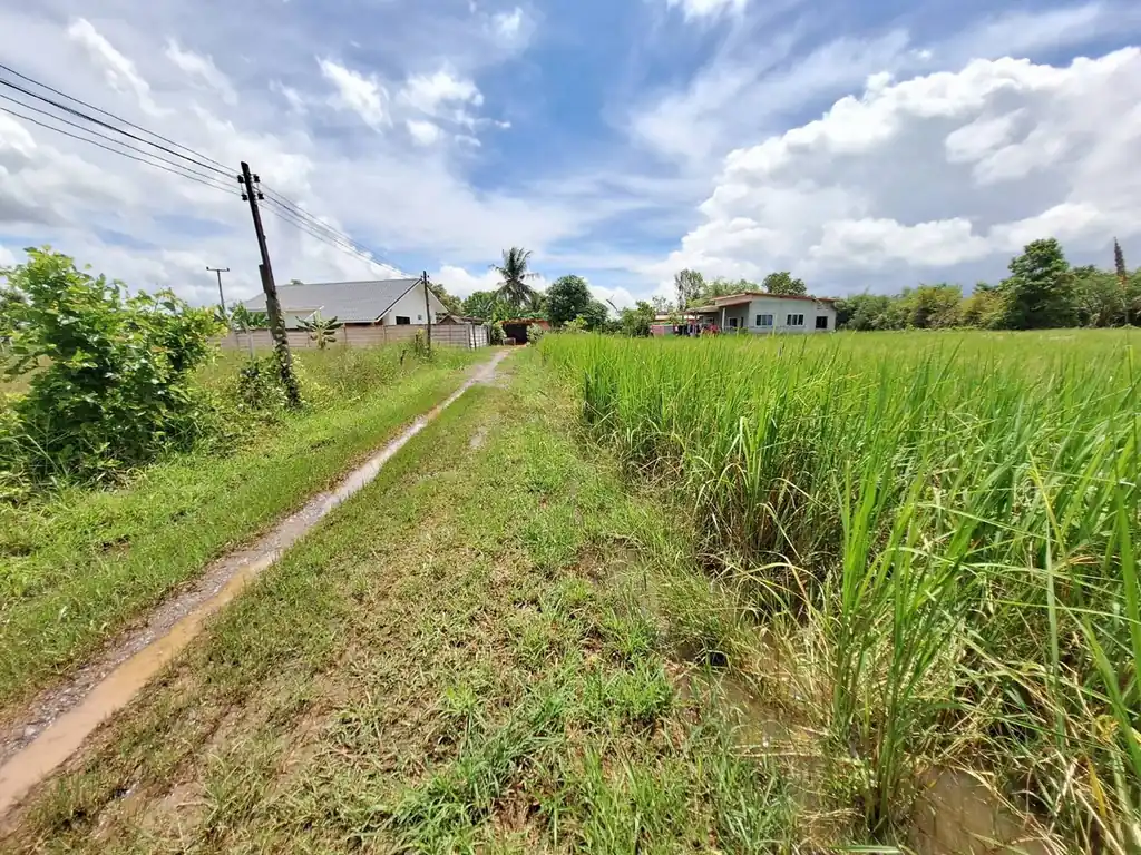 2,638 sq m flat land plot for sale near Udon Thani city, photo 10
