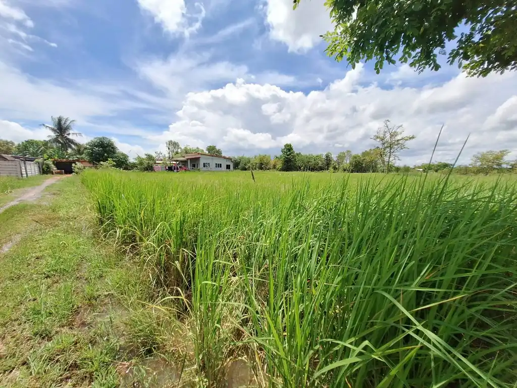 2,638 sq m flat land plot for sale near Udon Thani city, photo 11