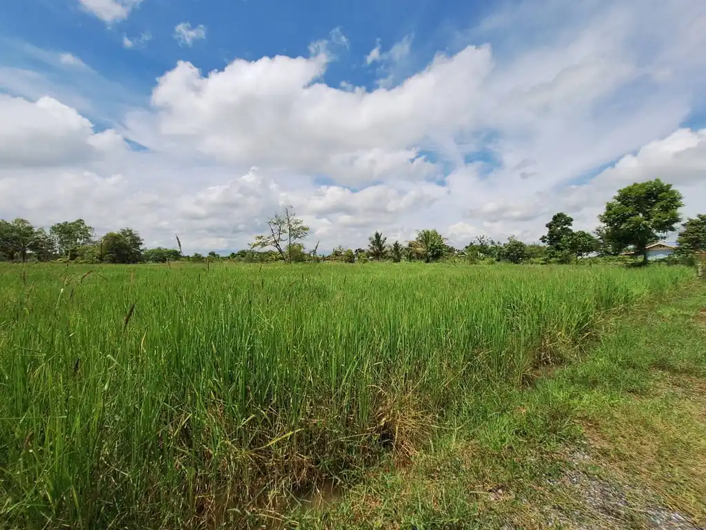 2,638 sq m flat land plot for sale near Udon Thani city, photo 2