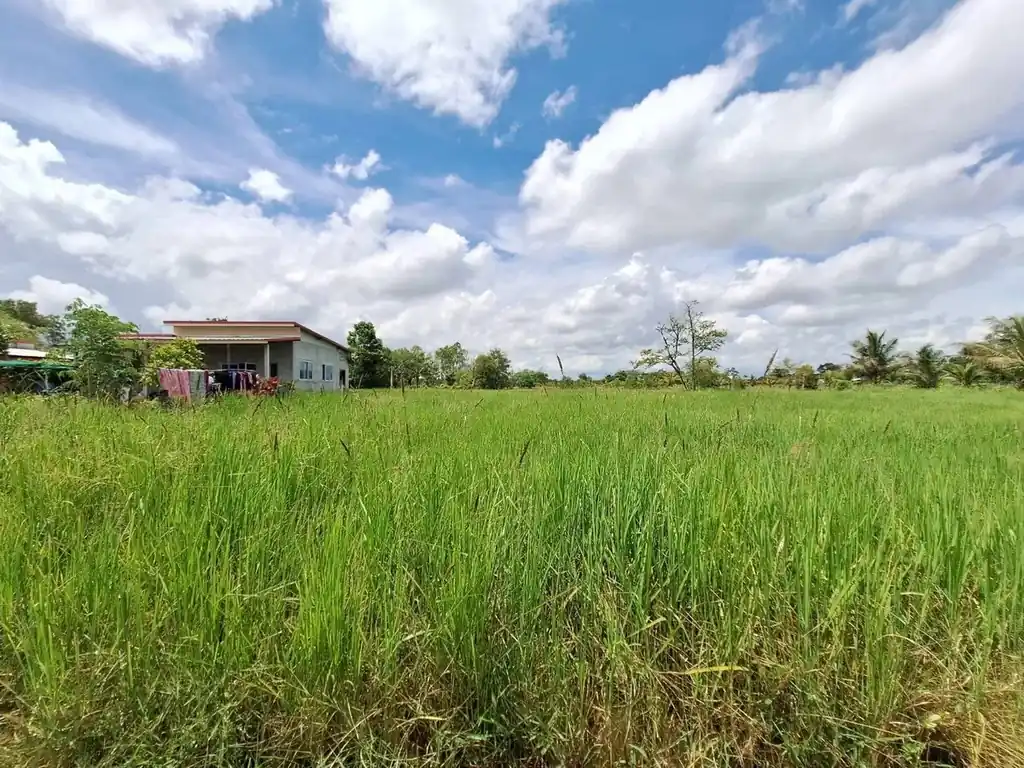 2,638 sq m flat land plot for sale near Udon Thani city, photo 3