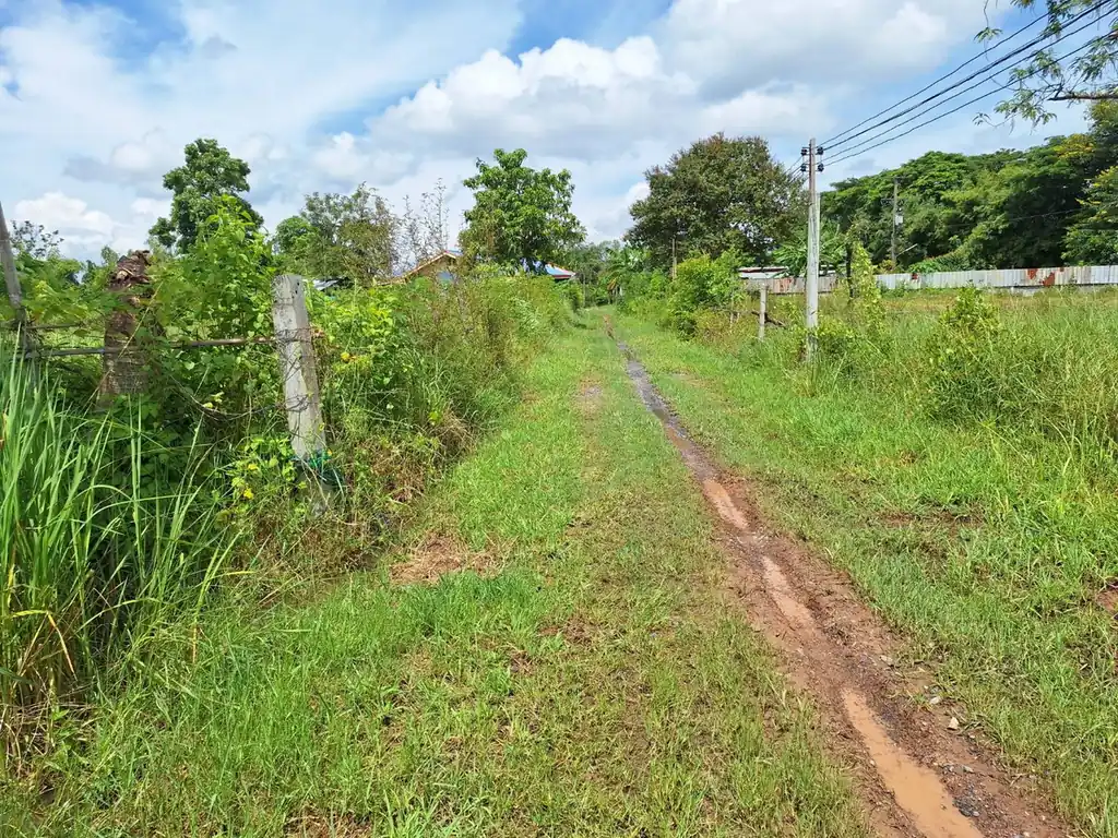 2,638 sq m flat land plot for sale near Udon Thani city, photo 6