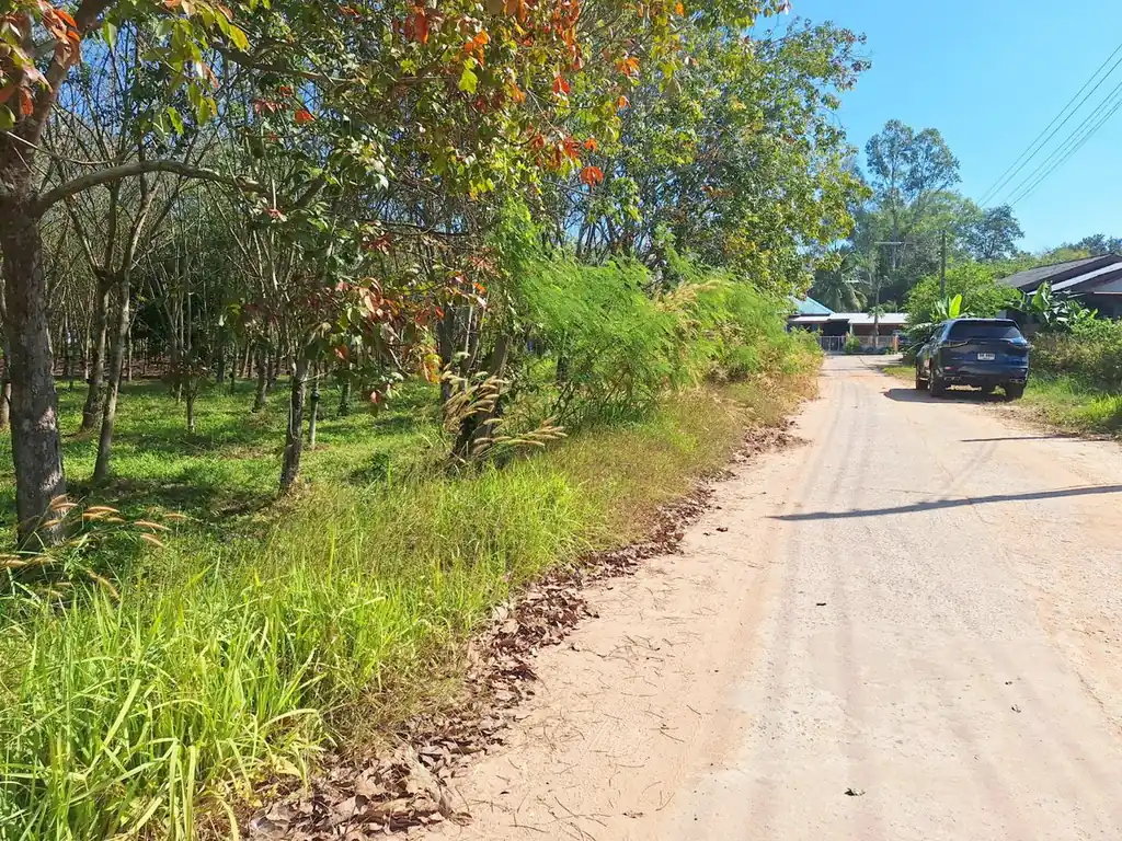 3.69 rai home site with rubber trees for sale near Nong Wua So, Udon Thani, photo 7