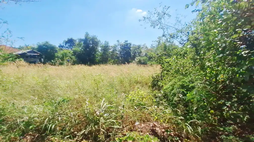 1 rai of freehold land for sale near Kut Chap, Udon Thani, photo 5