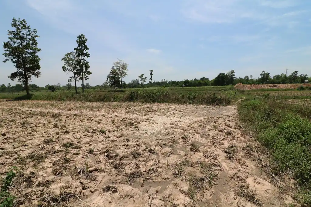 9 rai of prime land for sale near Nong Han, Udon Thani, photo 3