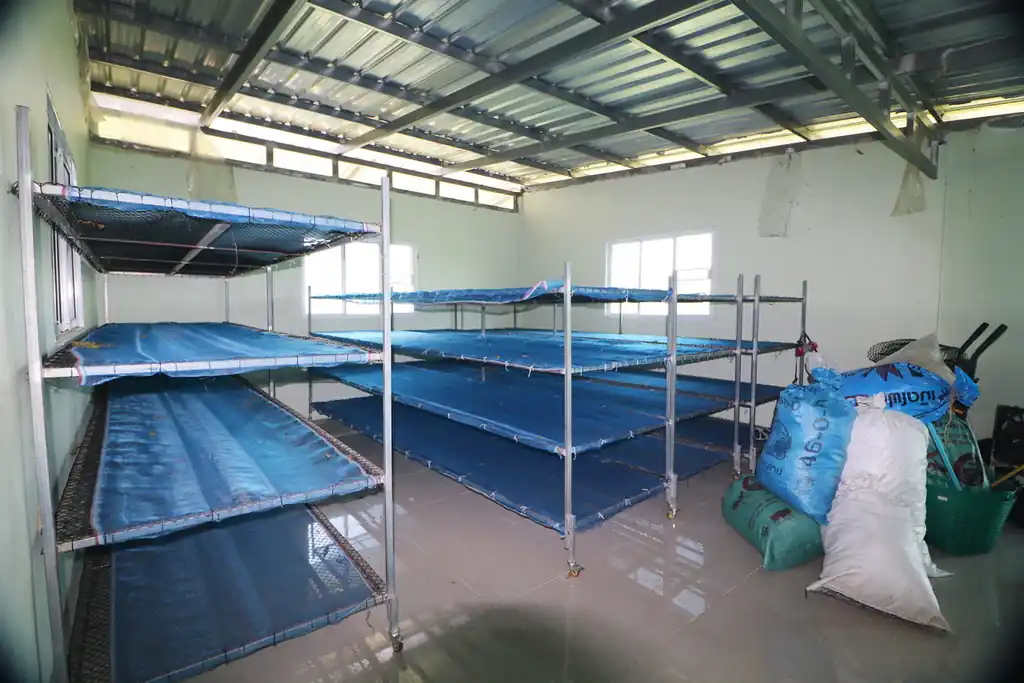 Kratom plantation with residence for sale – 25 rai agricultural business in Nong Bua Lam Phu, photo 15