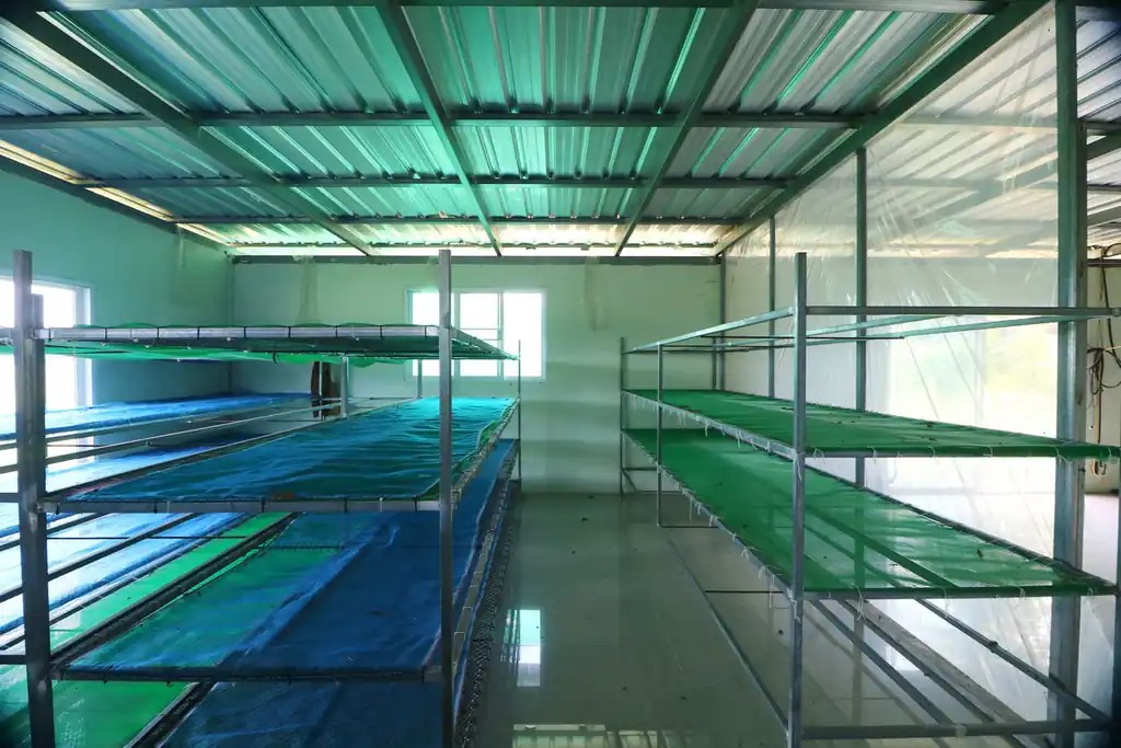 Kratom plantation with residence for sale – 25 rai agricultural business in Nong Bua Lam Phu, photo 16
