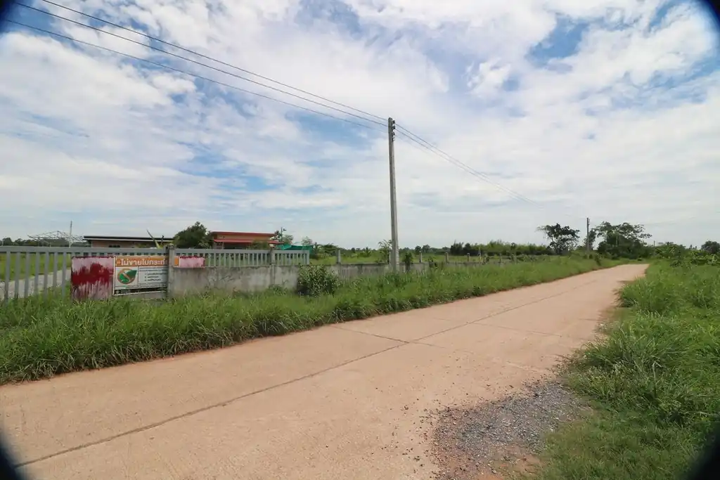 Kratom plantation with residence for sale – 25 rai agricultural business in Nong Bua Lam Phu, photo 2