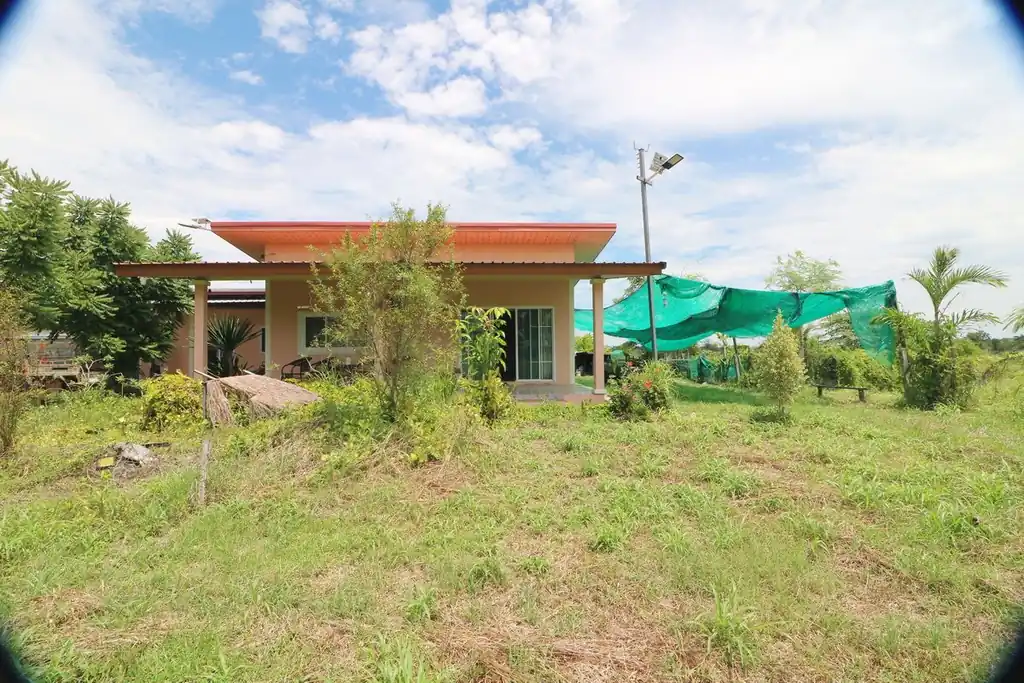 Kratom plantation with residence for sale – 25 rai agricultural business in Nong Bua Lam Phu, photo 4