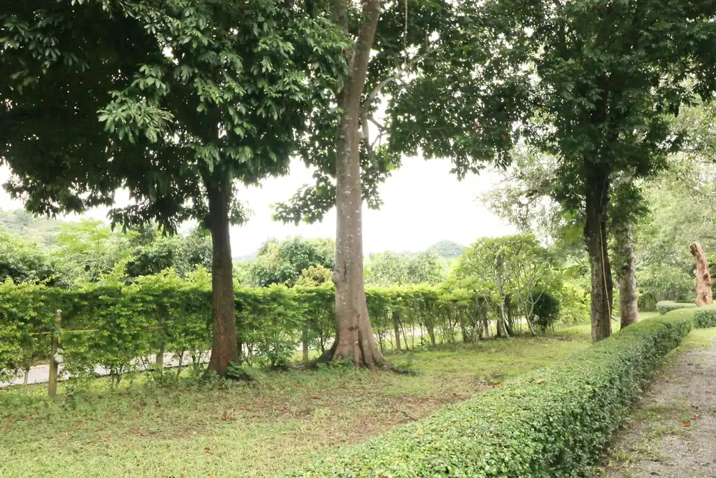 Bu Hom Riverside Resort for sale – 11 bungalows on the Mekong, Chiang Khan, Loei, photo 11