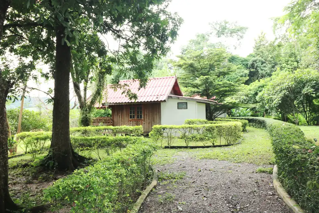 Bu Hom Riverside Resort for sale – 11 bungalows on the Mekong, Chiang Khan, Loei, photo 12
