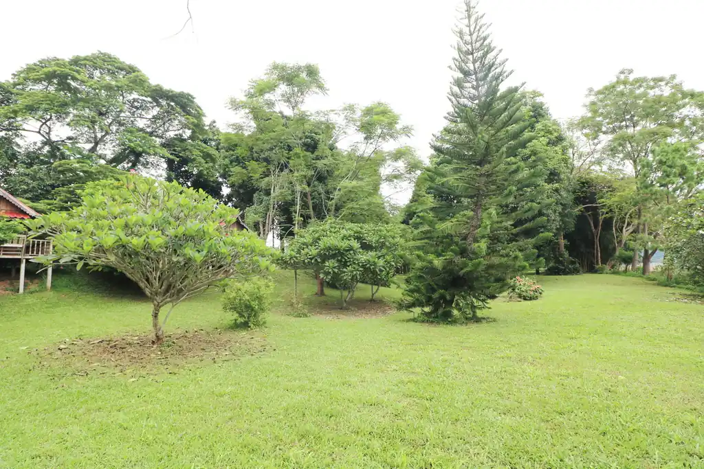 Bu Hom Riverside Resort for sale – 11 bungalows on the Mekong, Chiang Khan, Loei, photo 15