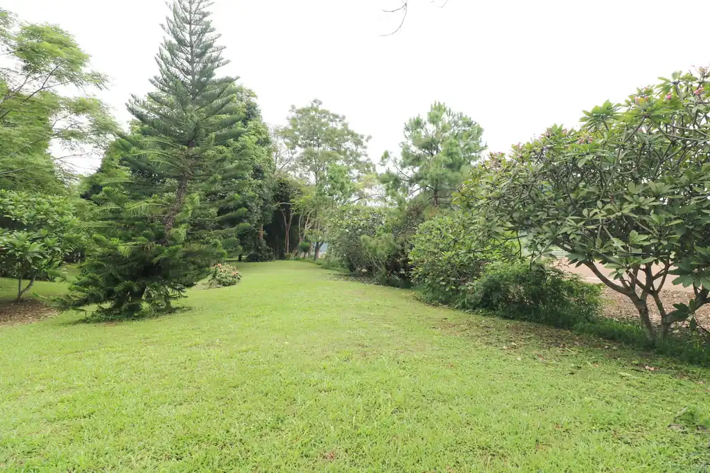 Bu Hom Riverside Resort for sale – 11 bungalows on the Mekong, Chiang Khan, Loei, photo 16