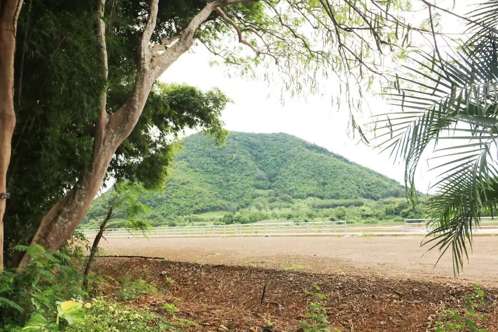 Bu Hom Riverside Resort for sale – 11 bungalows on the Mekong, Chiang Khan, Loei, photo 19