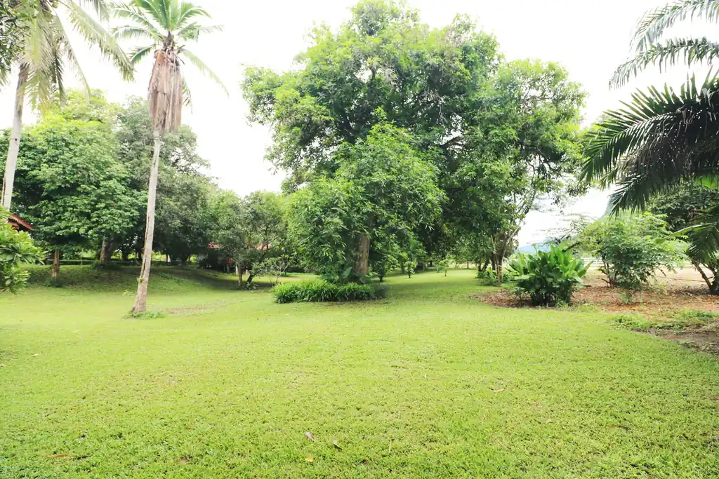 Bu Hom Riverside Resort for sale – 11 bungalows on the Mekong, Chiang Khan, Loei, photo 20