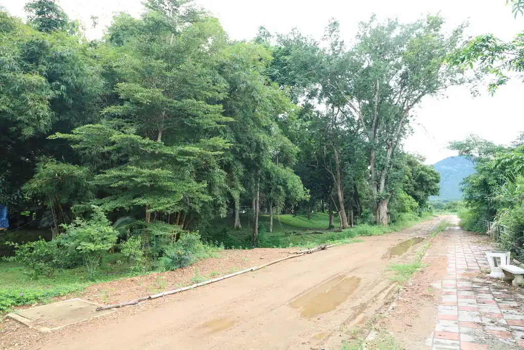 Bu Hom Riverside Resort for sale – 11 bungalows on the Mekong, Chiang Khan, Loei, photo 22
