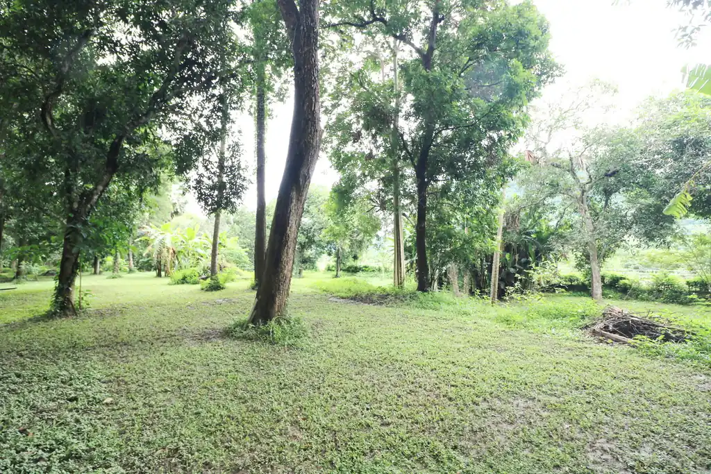 Bu Hom Riverside Resort for sale – 11 bungalows on the Mekong, Chiang Khan, Loei, photo 26