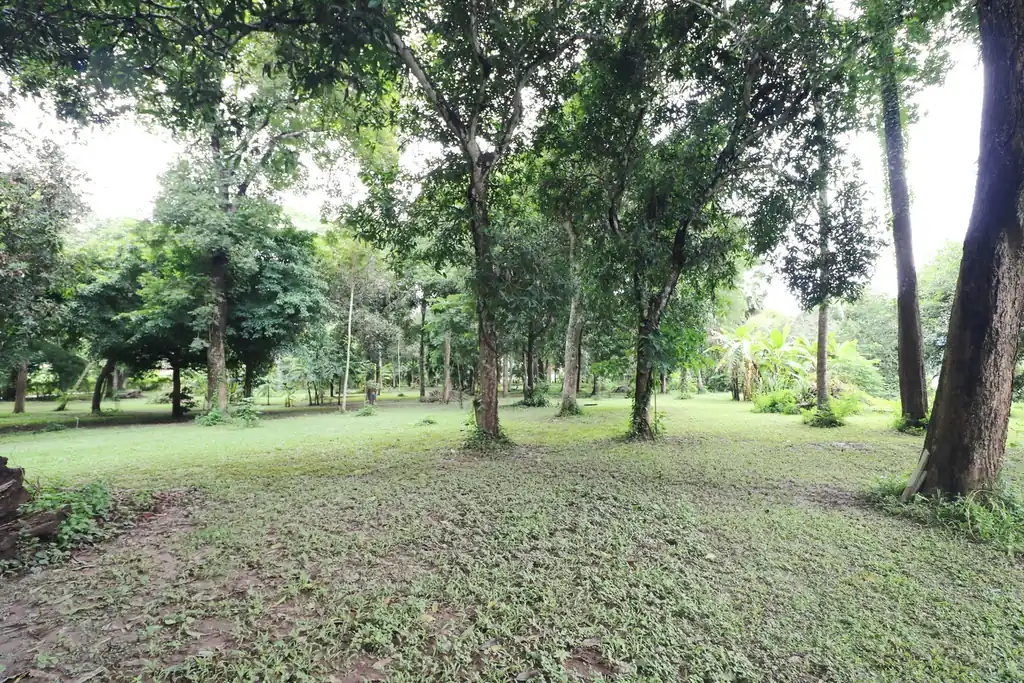 Bu Hom Riverside Resort for sale – 11 bungalows on the Mekong, Chiang Khan, Loei, photo 27
