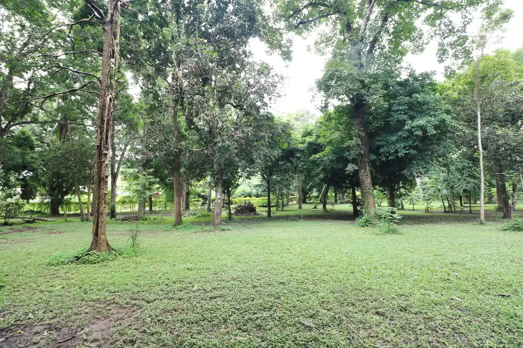 Bu Hom Riverside Resort for sale – 11 bungalows on the Mekong, Chiang Khan, Loei, photo 28