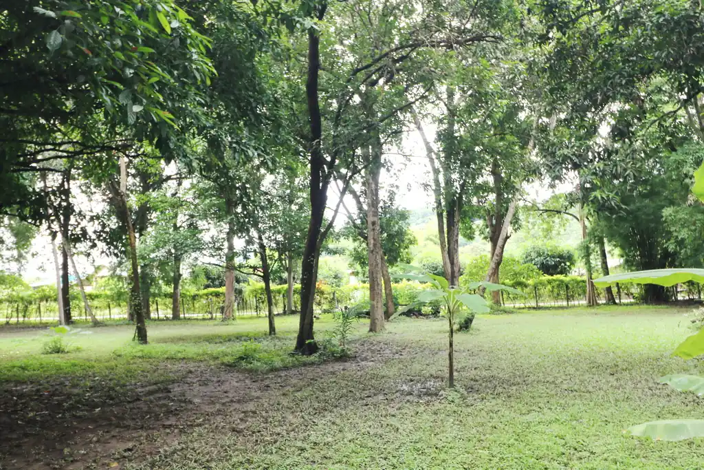 Bu Hom Riverside Resort for sale – 11 bungalows on the Mekong, Chiang Khan, Loei, photo 32