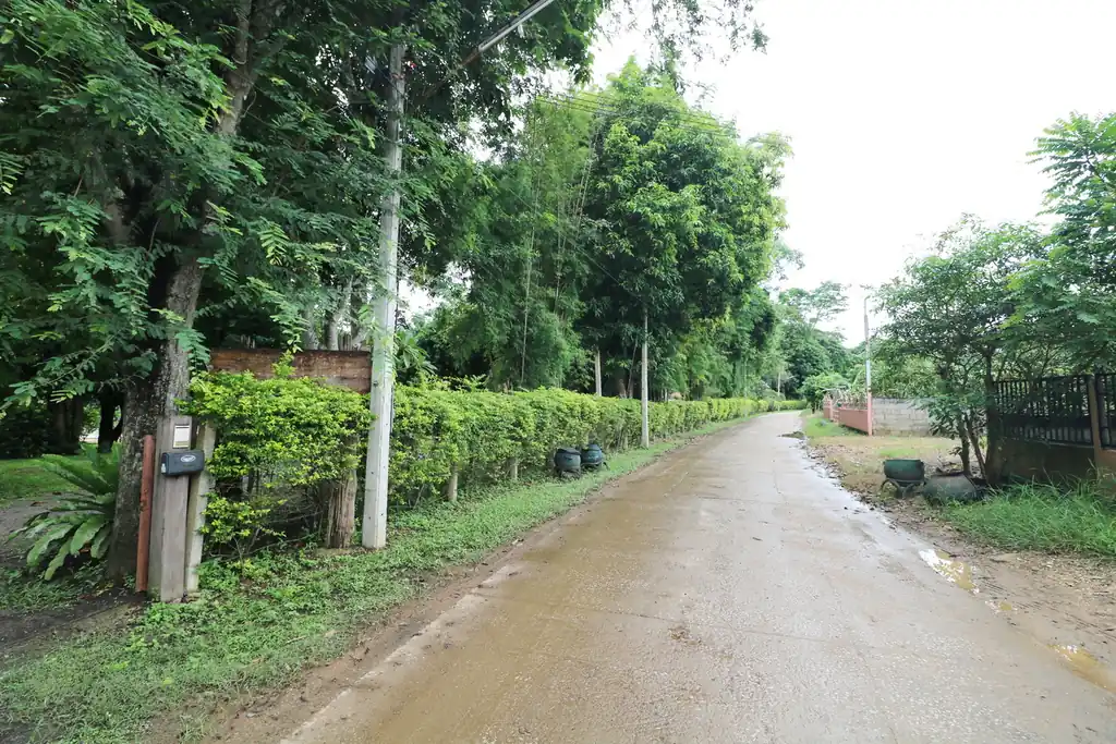 Bu Hom Riverside Resort for sale – 11 bungalows on the Mekong, Chiang Khan, Loei, photo 35