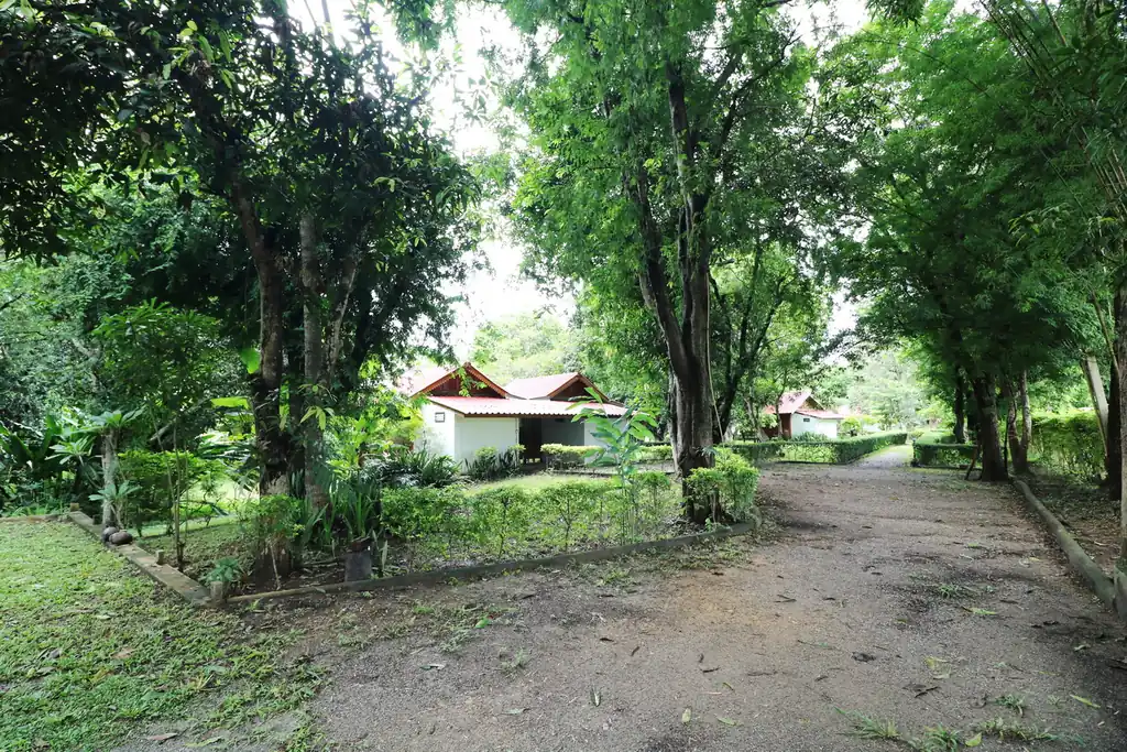 Bu Hom Riverside Resort for sale – 11 bungalows on the Mekong, Chiang Khan, Loei, photo 6
