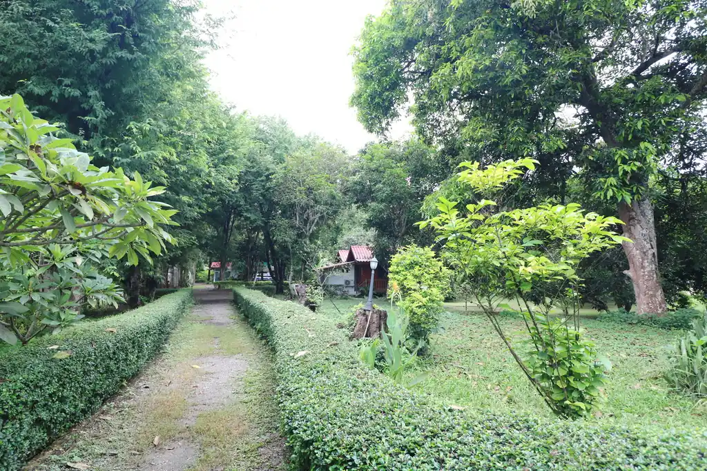 Bu Hom Riverside Resort for sale – 11 bungalows on the Mekong, Chiang Khan, Loei, photo 8