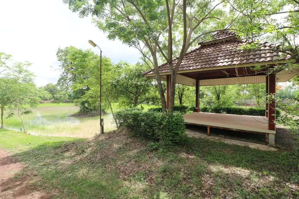32+ rai of land and homes with rare investment trees for sale in Sakhrai, Nong Khai, photo 11
