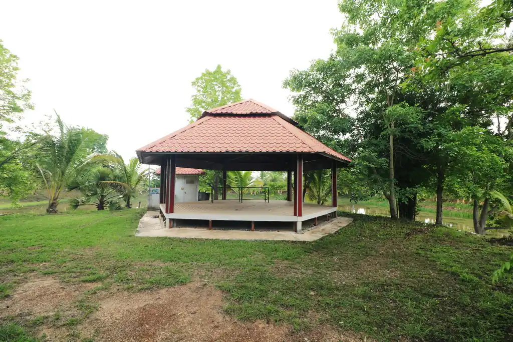 32+ rai of land and homes with rare investment trees for sale in Sakhrai, Nong Khai, photo 13