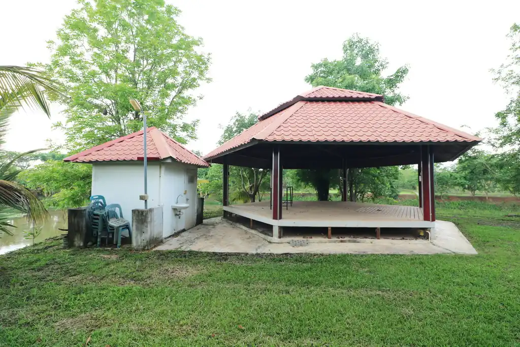 32+ rai of land and homes with rare investment trees for sale in Sakhrai, Nong Khai, photo 14