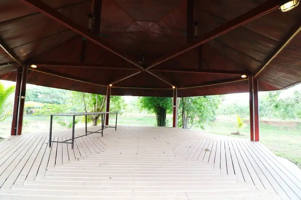 32+ rai of land and homes with rare investment trees for sale in Sakhrai, Nong Khai, photo 15