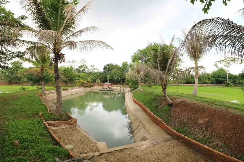 32+ rai of land and homes with rare investment trees for sale in Sakhrai, Nong Khai, photo 16
