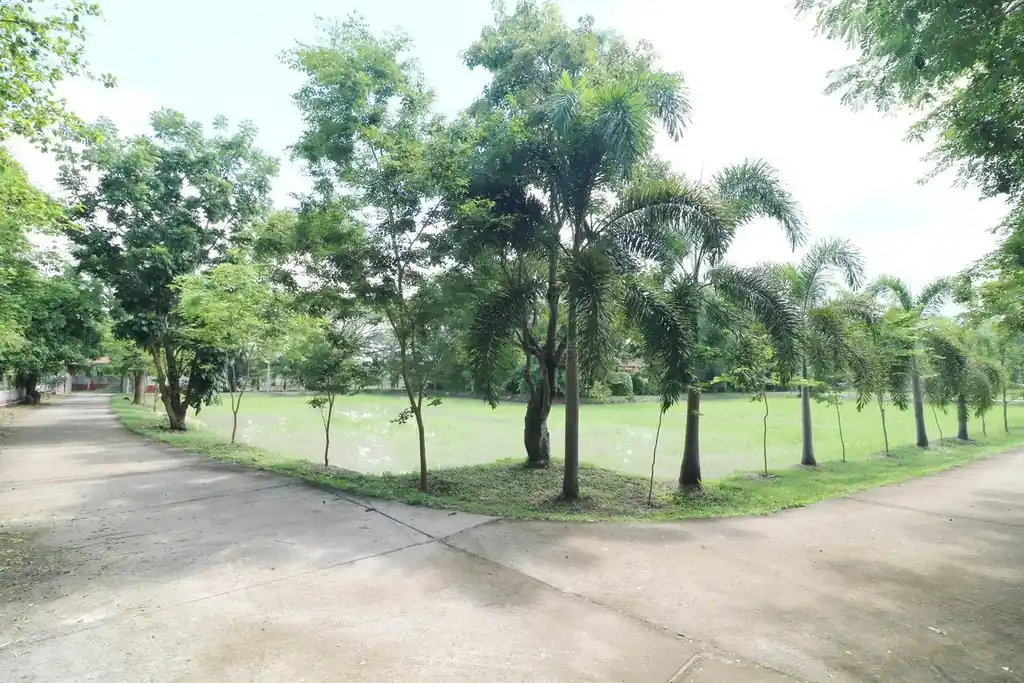 32+ rai of land and homes with rare investment trees for sale in Sakhrai, Nong Khai, photo 2