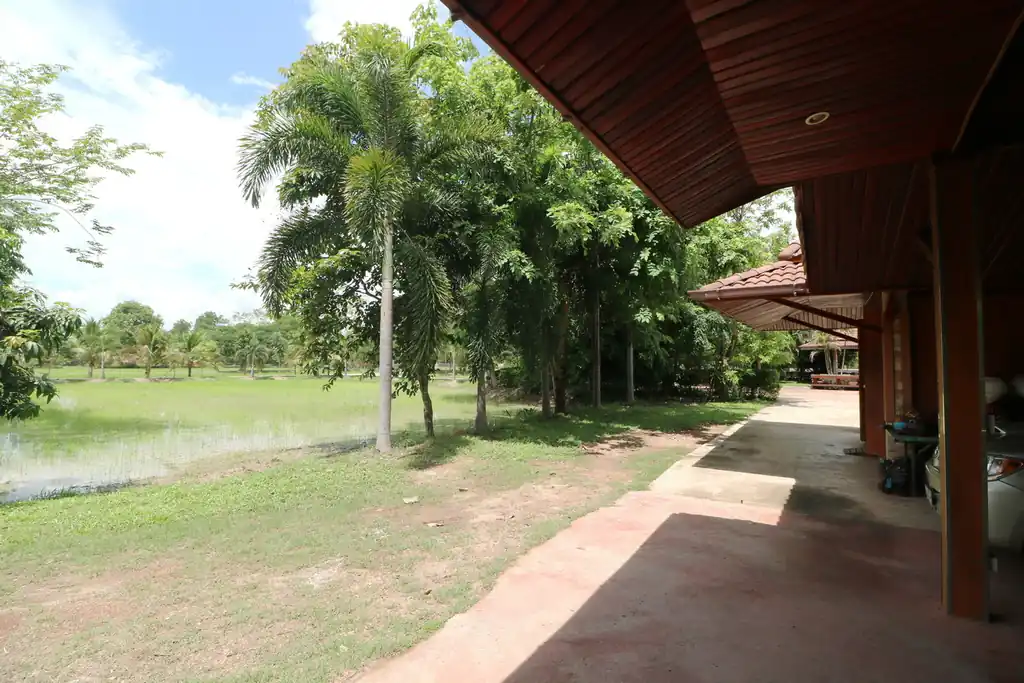 32+ rai of land and homes with rare investment trees for sale in Sakhrai, Nong Khai, photo 48
