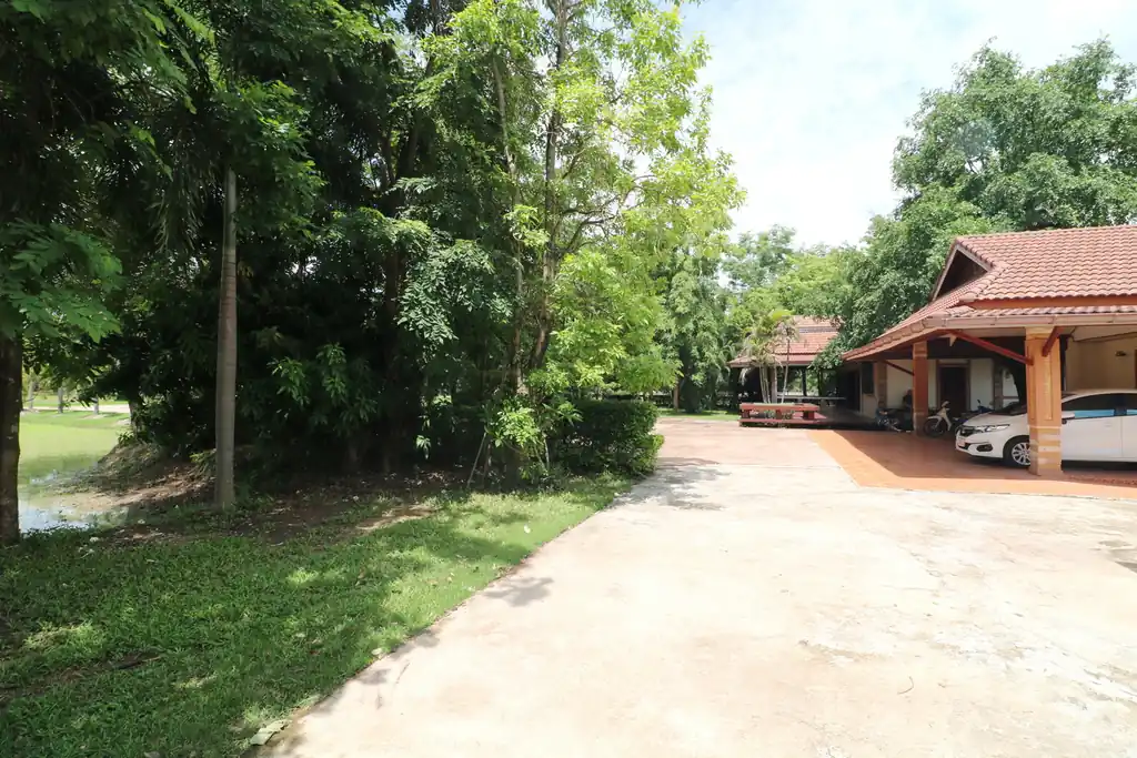 32+ rai of land and homes with rare investment trees for sale in Sakhrai, Nong Khai, photo 49